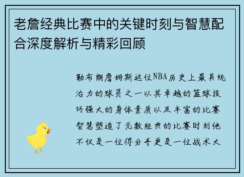 老詹经典比赛中的关键时刻与智慧配合深度解析与精彩回顾