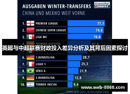 英超与中超联赛财政投入差异分析及其背后因素探讨