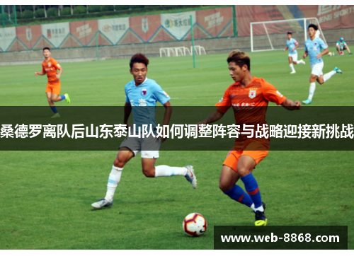 桑德罗离队后山东泰山队如何调整阵容与战略迎接新挑战
