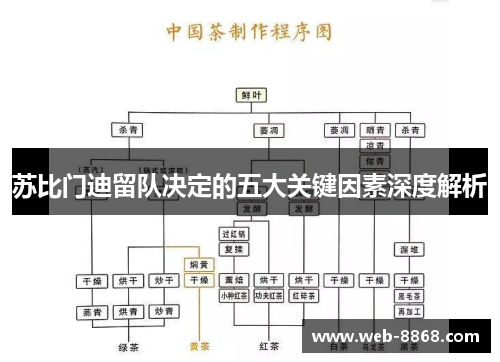 苏比门迪留队决定的五大关键因素深度解析